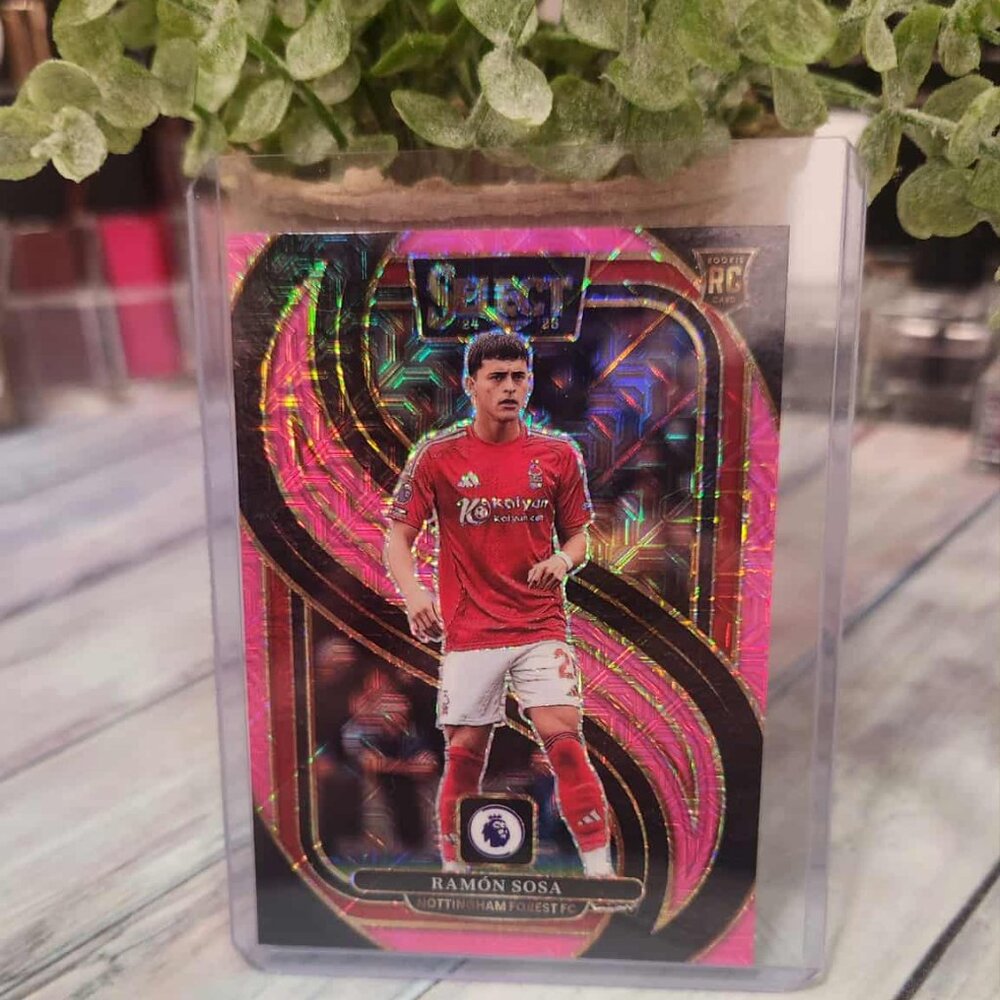 Ramon Sosa Rookie Card